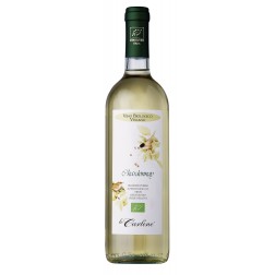 Chardonnay IGT Veneto Orientale