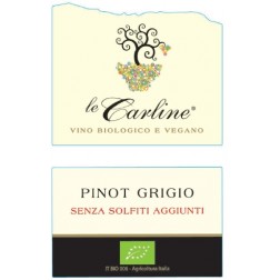 Pinot Grigio DOC Venezia senza solfiti aggiunti